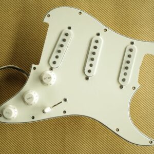 SSS Loaded Pickguard 1 - Radioshop